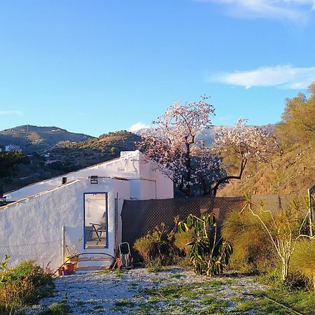 Finca El Almendro Árchez Εξωτερικό φωτογραφία