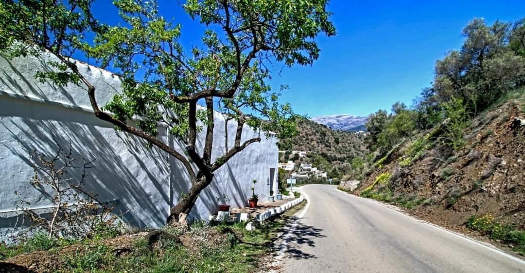 Finca El Almendro Árchez Εξωτερικό φωτογραφία