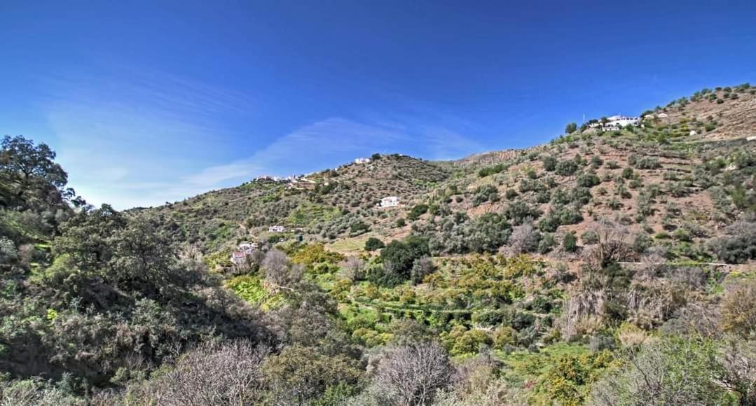 Finca El Almendro Árchez Εξωτερικό φωτογραφία