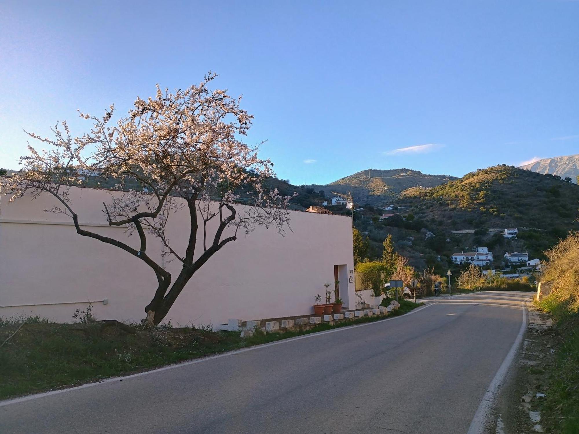 Finca El Almendro Árchez Εξωτερικό φωτογραφία