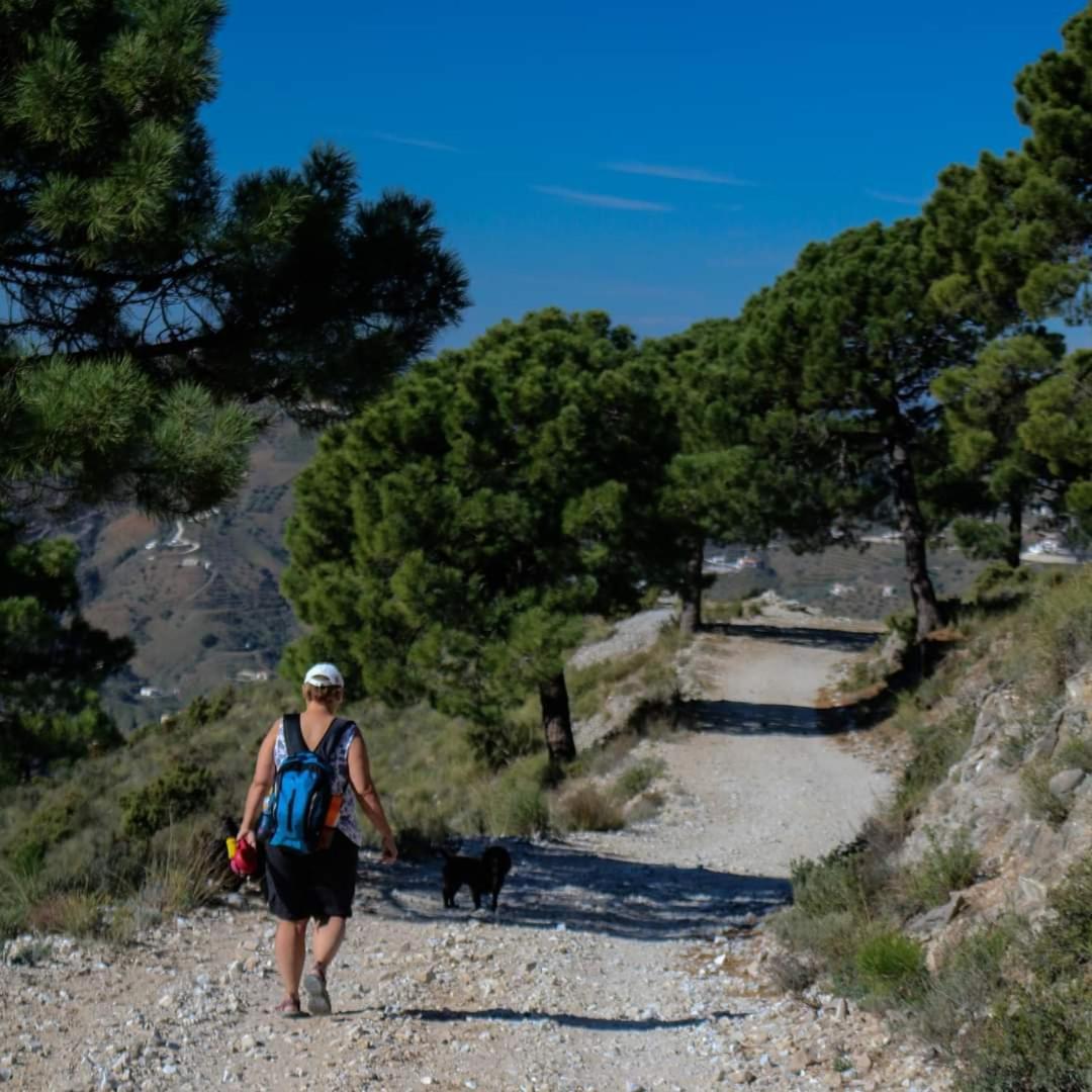 Finca El Almendro Árchez Εξωτερικό φωτογραφία