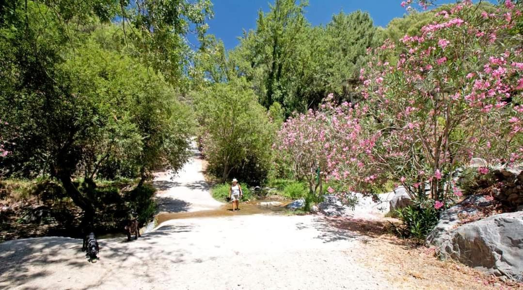 Finca El Almendro Árchez Εξωτερικό φωτογραφία